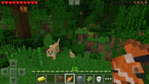 Minecraft 1