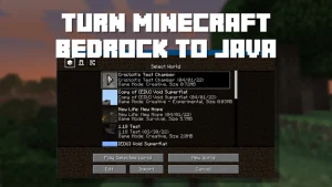 Minecraft Java Edition 2
