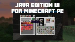 Minecraft Java Edition 4