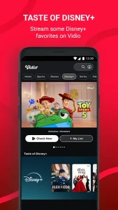 Vidio 4