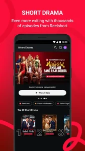 Vidio 6