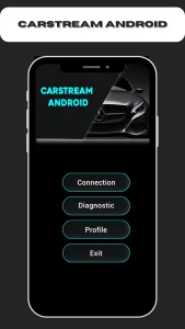 Carstream 1