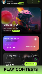 Cricket Fly 5