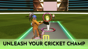 Cricket Fly 6