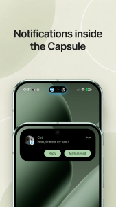 Material Capsule 3