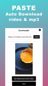 Snaptik 4