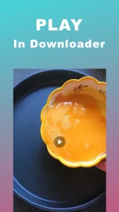 Snaptik 6