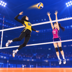 VolleyBall King