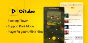 OiTube 1