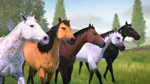 Rival Stars Horse Racing 1