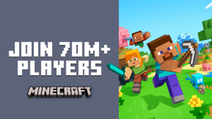 Minecraft 1.21.114.1 1