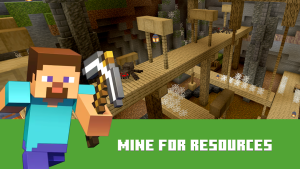 Minecraft 1.21.114.1 6