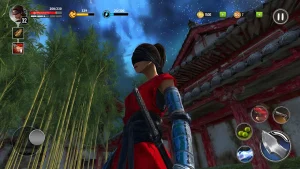 Ninja Ryuko 2